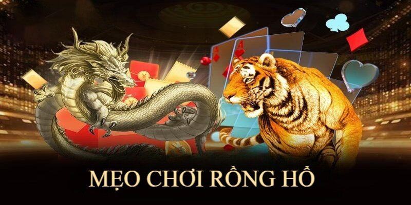 5 Chiến Thuật Chơi Rồng Hổ - Tăng Tỷ Lệ Thắng Tại Bet88 Mẹo cơ bản mang tới thưởng lớn tại Bet88