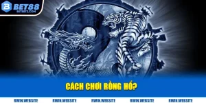 5 Chiến Thuật Chơi Rồng Hổ -  Tăng Tỷ Lệ Thắng Tại Bet88