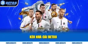 Kèo nhà cái BET88 – Cẩm Nang Cá Cược Dành Cho Người Mới